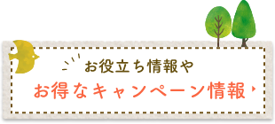 お得なキャンペーン情報はこちらから